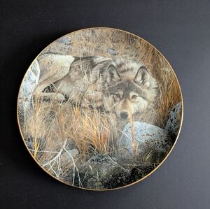 Vintage Decorative Wolf Collector Plate Realistic Wildlife Art Nature Animals
